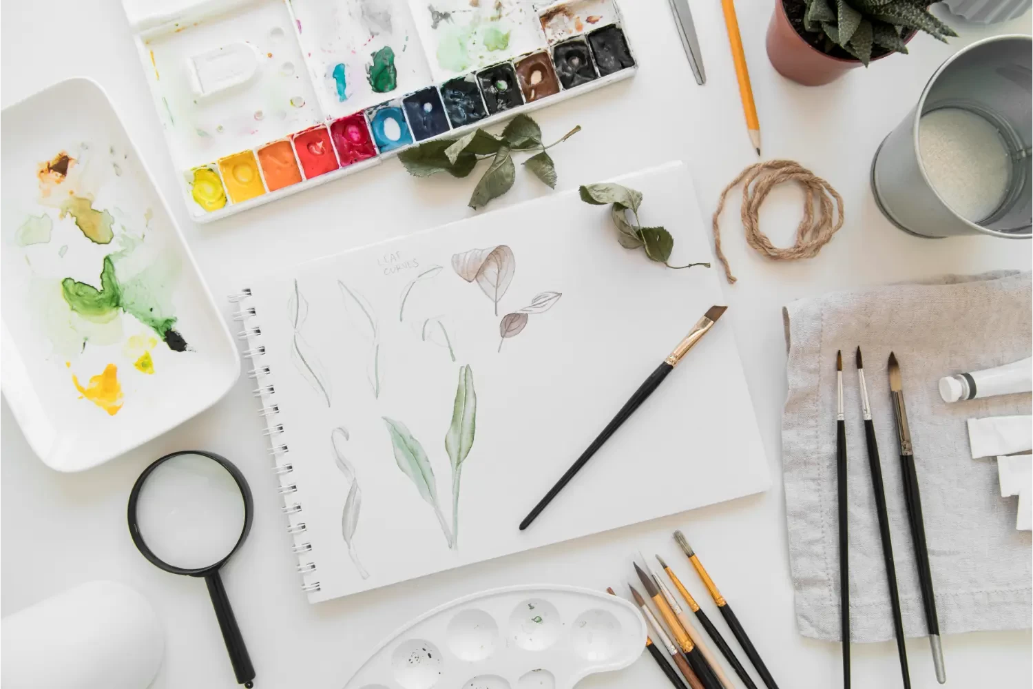 تعلم اساسيات الرسم